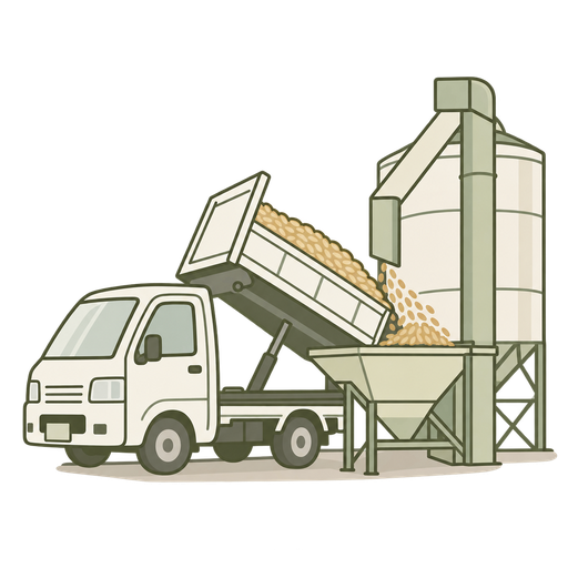 集荷：トラックからサイロへ籾を搬入する工程